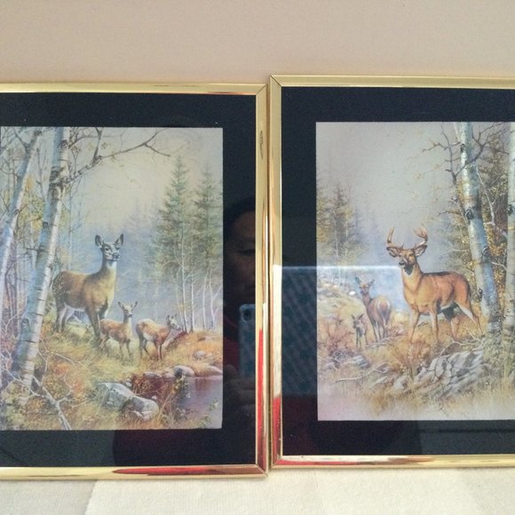 Two wall decoration metallic prints deer framed small - Picture 1 of 5